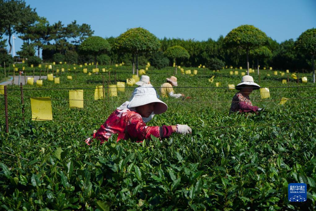 盛传移动员工登录平台